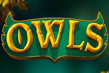 Owls